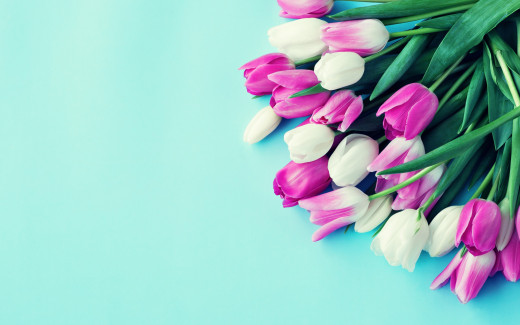 1050013 (a): :2880x1800